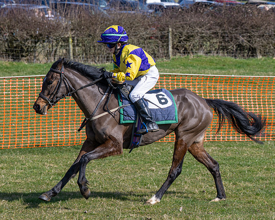 Pony Race 2 - 138cm (55 of 65)