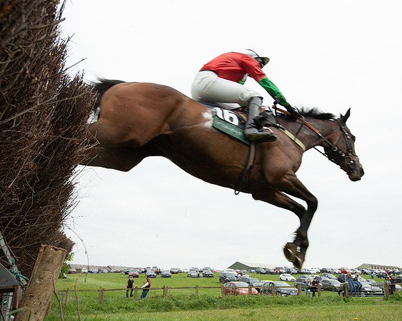 Race 7 - Open Maiden  (44 of 106)