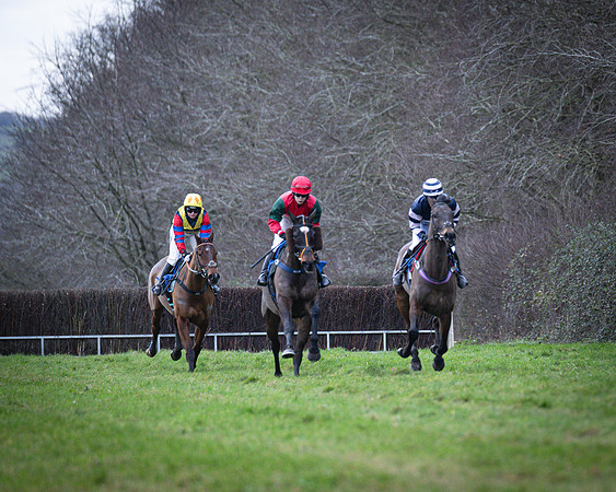 Race 4 - Ladies Open (9 of 115)