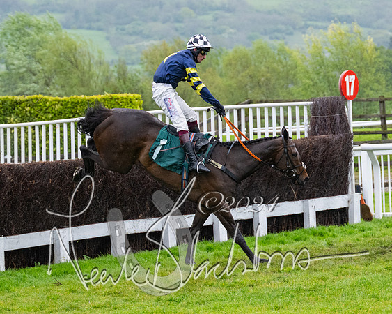 Race 5 - Mares Open  (55 of 129)