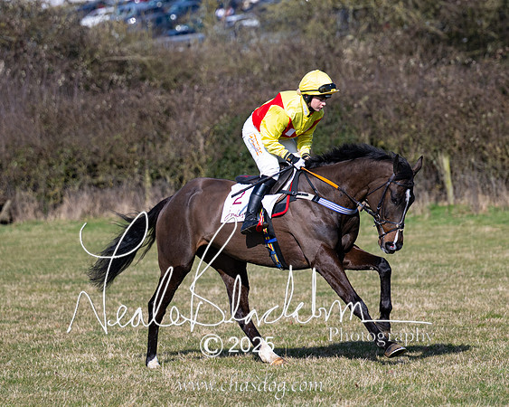 Race 1 - Maiden (48 of 188)