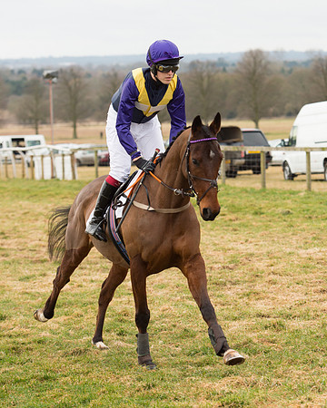 Race 6 - Open Maiden (19 of 100).jpg