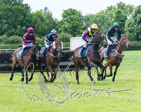 Race 3 - Conditions (176 of 367)