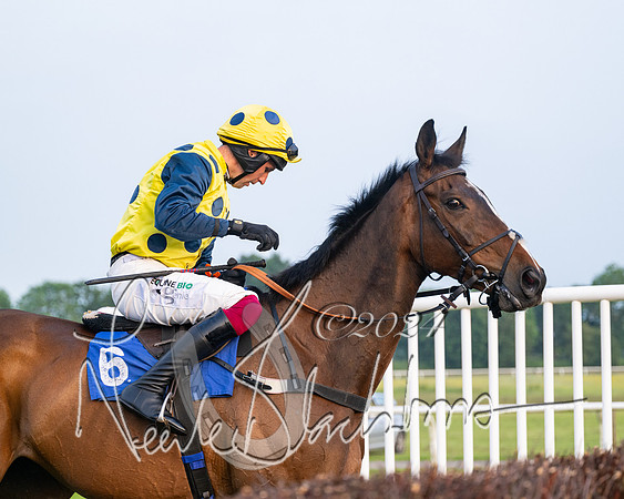 Race 5 - Peter Wright Handicap (16 of 117)
