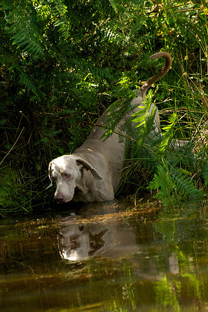 WCGB-04AUG-2013 Water Training Day 197