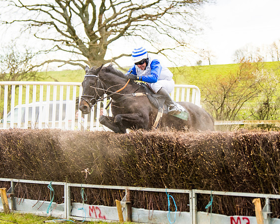Race 6 - 6 year old and over Maiden 2m4f (19 of 62)