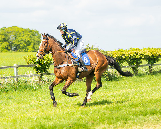 Race 4 - Ladies Open  (7 of 79)