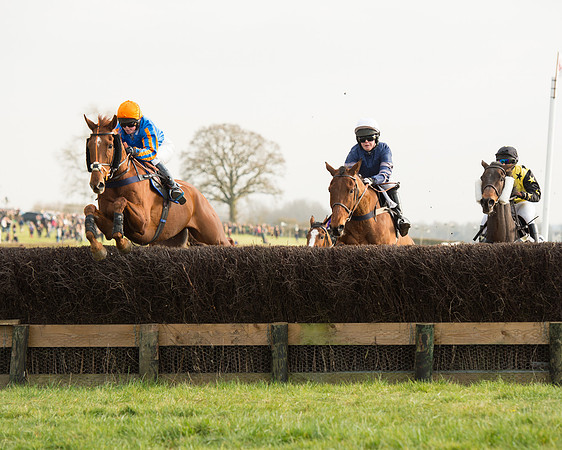 Race 6 - Open Maiden Race (47 of 99).jpg