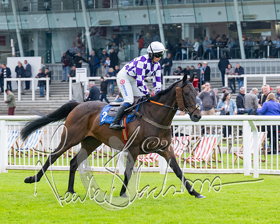 Race 2 - Ladies Open Final (3 of 94)