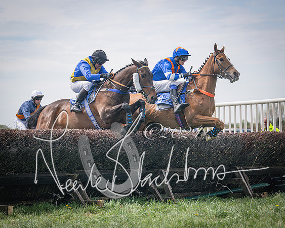 Race 2 - The Elliott of London maiden race (39 of 137)