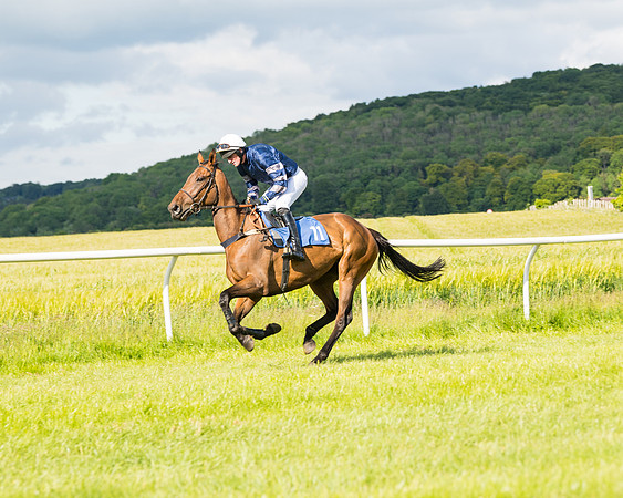 Race 6 - Open Maiden (41 of 227)