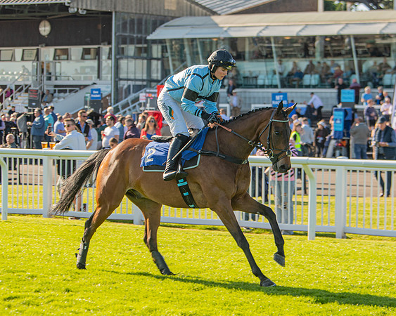 Race 2 - Nimrod Ladies Open (3 of 82)