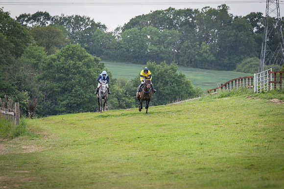 Race 5 - 3 Mile Maiden [NWFAA] (59 of 95)