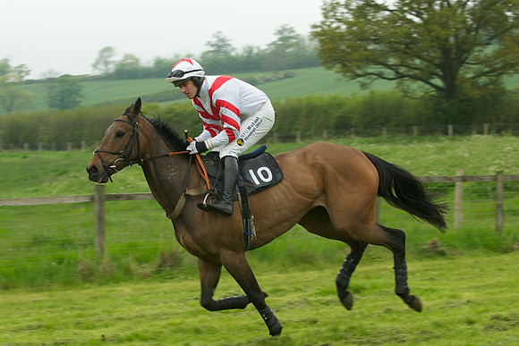 Race 5 - Restricted 23