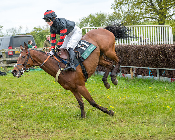 Race 2 - Jockey Club ROR veteran Horse (81 of 104)