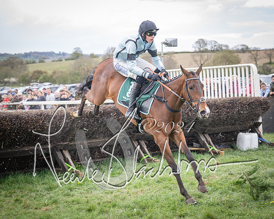 Race 2 - Tattersalls Cheltenham 4 year old Maiden (46 of 85)