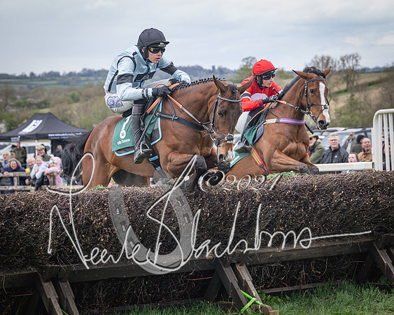 Race 2 - Tattersalls Cheltenham 4 year old Maiden (27 of 85)
