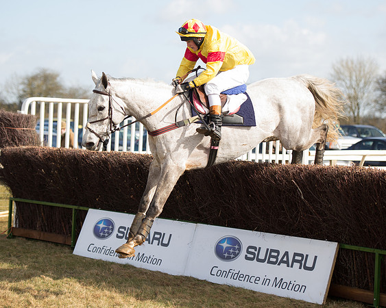 Race 1 - 4-5-6 Maiden (110 of 119).jpg