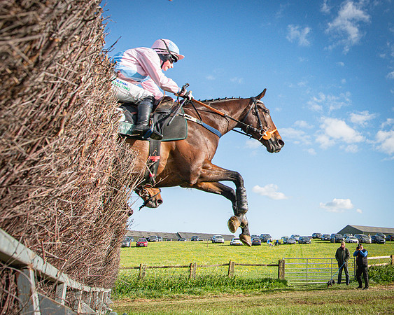 Race 7 - Walnut Hill PPORA club members maiden (34 of 104)