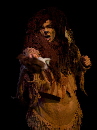 The Wizard of OZ -  156
