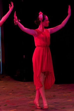 Rose Petals 28