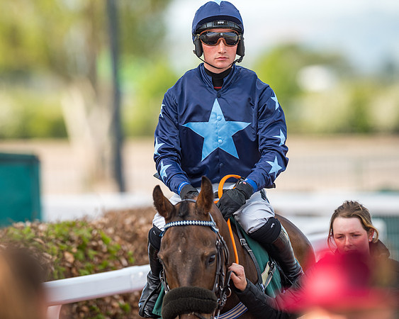 Race 2  -  Intermediate Point to Point Hunters' Steeple Chase (46 of 277)
