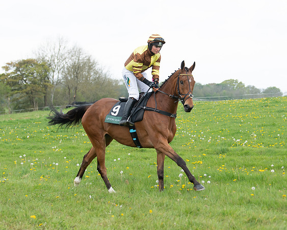 Race 2 - Jockey Club ROR veteran Horse (18 of 104)