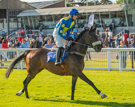 Race 2 - Nimrod Ladies Open (8 of 82)