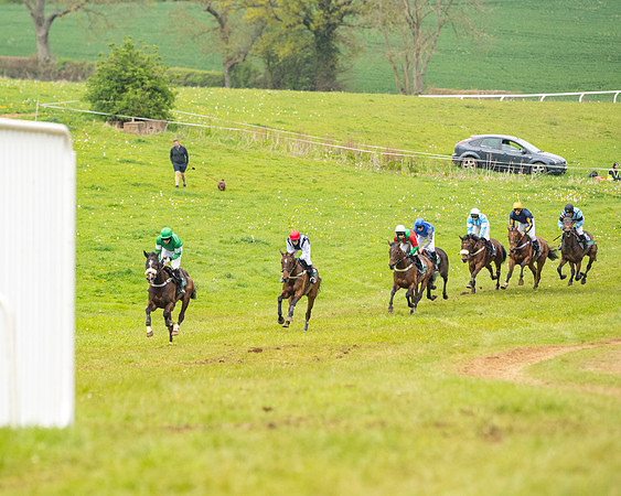 Race 7 - Open Maiden  (31 of 106)