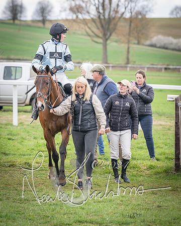 Race 2 - Tattersalls Cheltenham 4 year old Maiden (73 of 85)