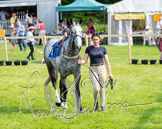 Race 5  - Maiden race 2m5F Div-1 (8 of 197)