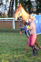 Young Horse Maiden  5