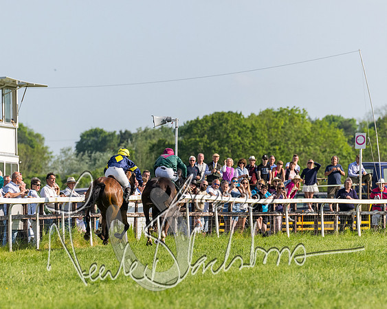 Race 6 - Owner trainer conditions (236 of 272)