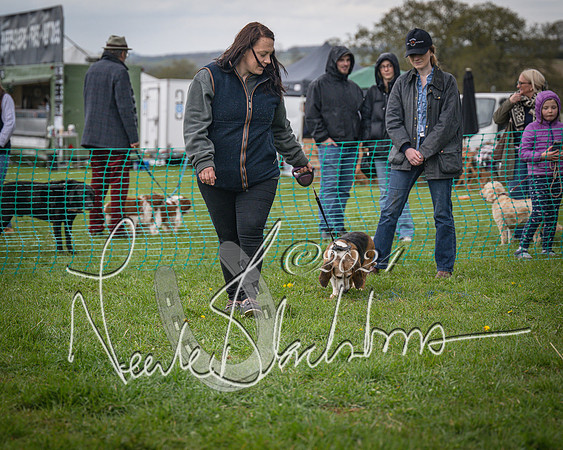 Bicester - Dog Show (11 of 106)