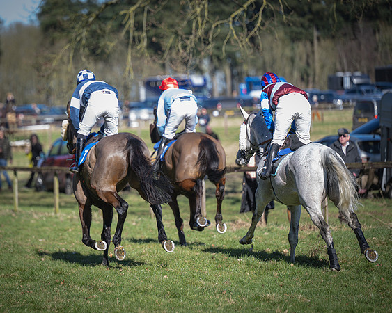 Race 1 - Veteran Horse (31 of 62)