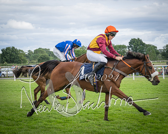 Race 1 - Pointing Pointers Restricted Final (56 of 79)