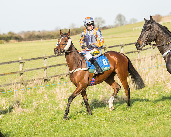 Race 5 - Restricted (6 of 146)
