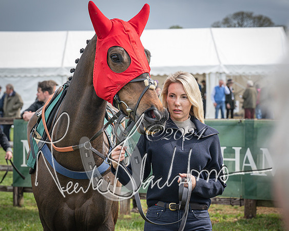 Race 3 - 5 years old and Over Maiden Race (8 of 130)