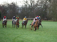 CHHC - Young Horse Maiden Division 1