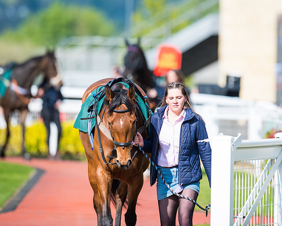 Race 1 - The open Hunter chase  (3 of 95)