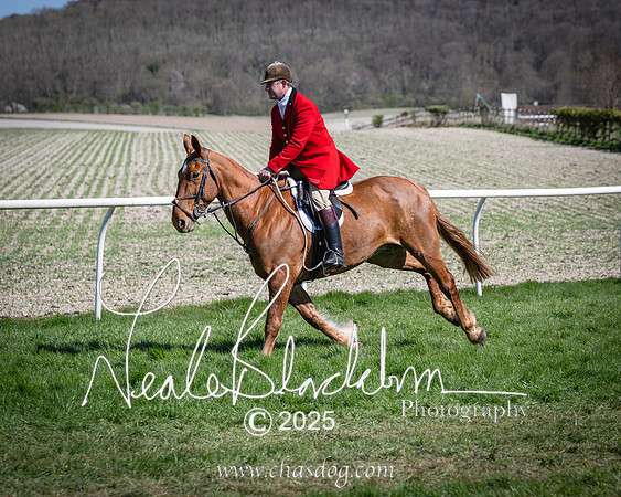 Race 2 - The Maiden (26 of 118)