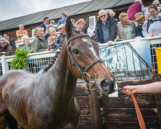 Race 6 - 2M4F Maiden (73 of 85)