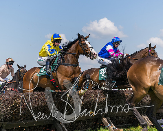 Race 2 - The Maiden  (165 of 442)