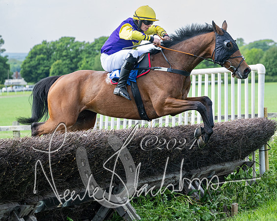 Race 2 - Restricted  (284 of 308)