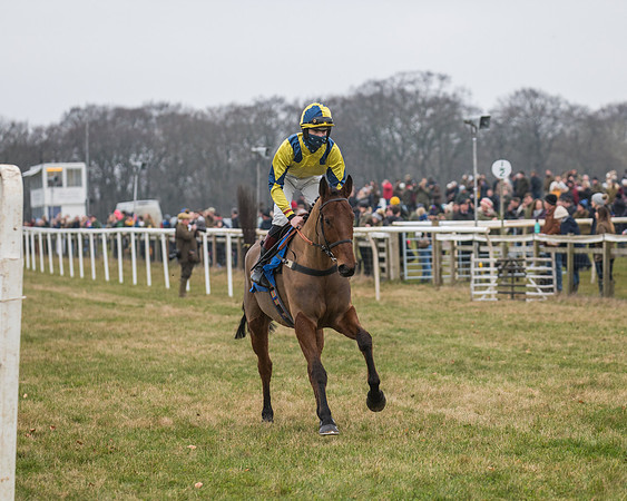 Race 2 - Restricted (2 of 100)