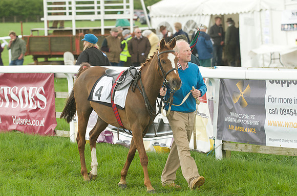 Pony Race - 2    2