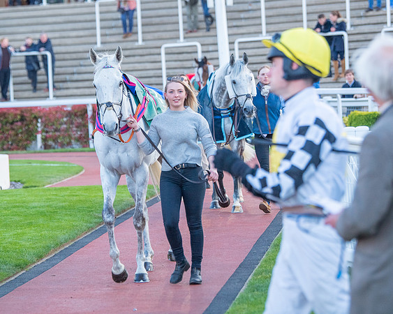 Race 7 - Glos Hussars  (37 of 245)