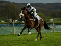 Pony Race 2 -  17