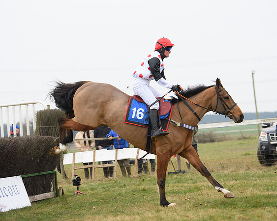 Race 3 - Novice Riders Race (93 of 180)