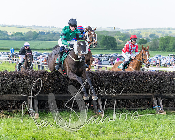 Race 7 - Veteran Horse (30 of 246)